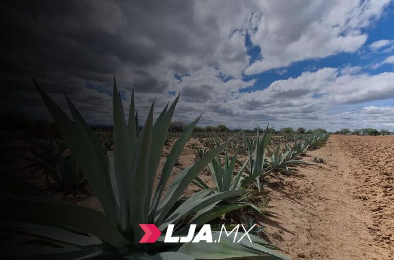 Medalla Gran Oro en Competencia Nacional Aguascalientes
