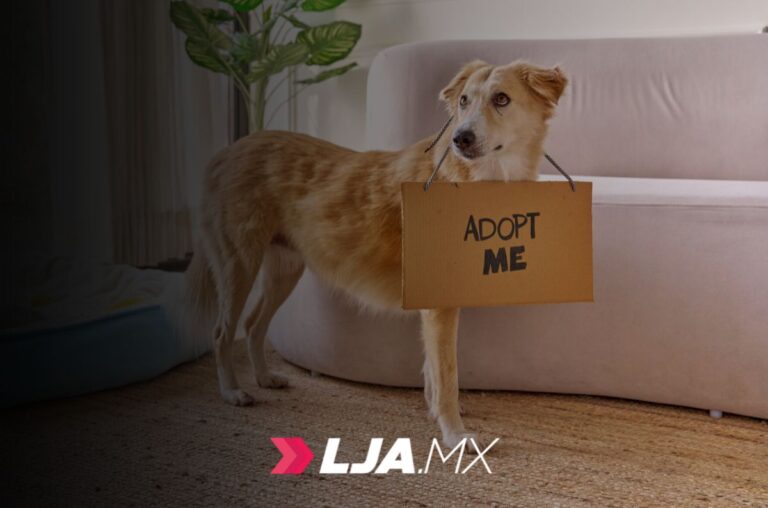 Servicios Veterinarios Gratuitos en Cosío Aguascalientes