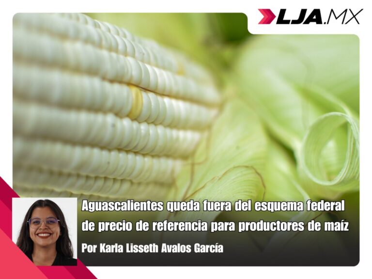 Aguascalientes queda fuera del esquema federal de precio de referencia para productores de maíz