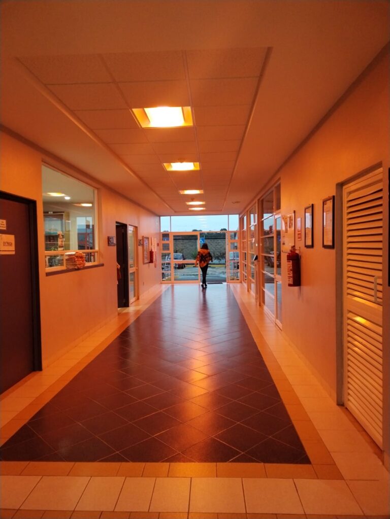 SSG informa tipos de violencias persistentes en contra de la mujer en la región de Salamanca, Guanajuato