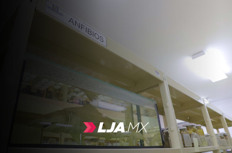 Colección Zoológica de la UAA resguarda más de 40 mil organismos