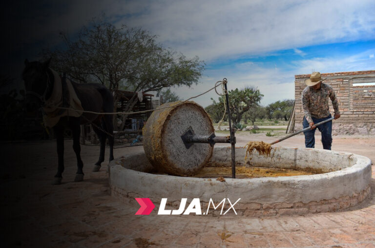 Reconocen a mezcal de Aguascalientes como uno de los mejores de México