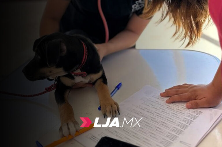 Atención veterinaria gratuita en Tepezalá, San Francisco de los Romo y Cosío la próxima semana