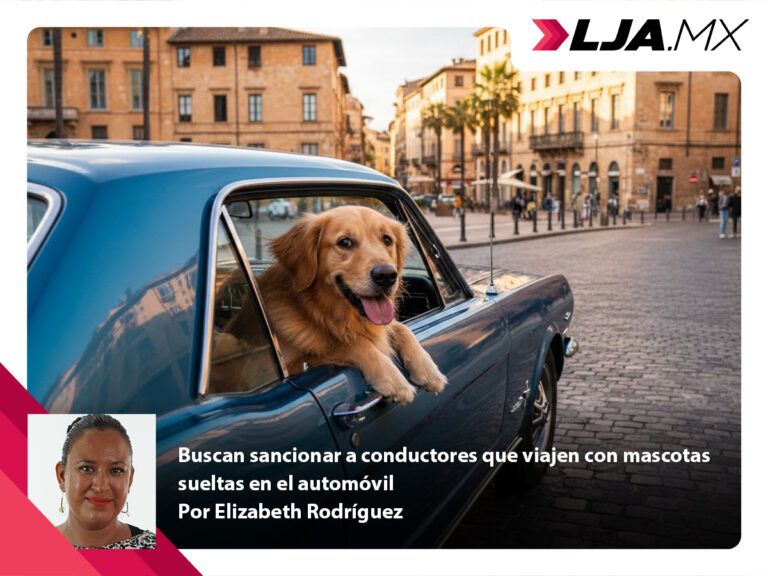 Buscan sancionar a conductores de Aguascalientes que viajen con mascotas sueltas en el automóvil