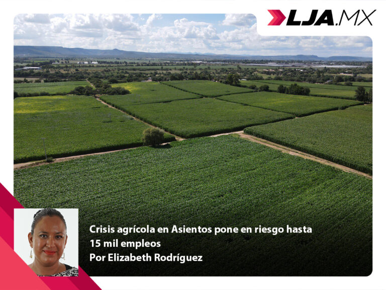 Crisis agrícola en el Municipio de Asientos pone en riesgo hasta 15 mil empleos