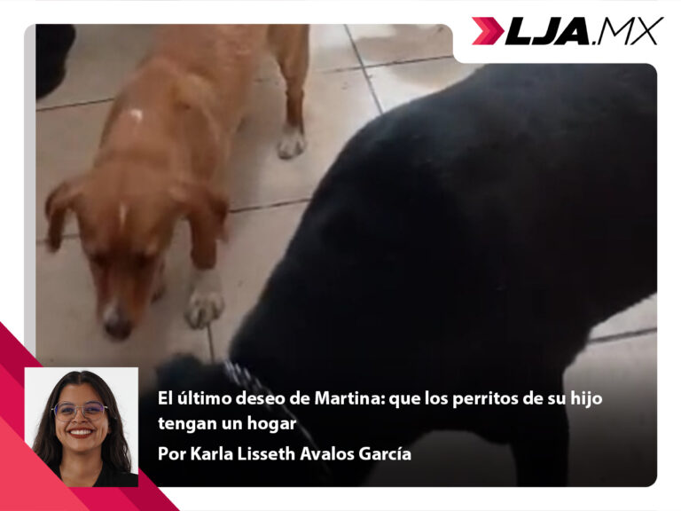 El último deseo de Martina: que los perritos de su hijo tengan un hogar