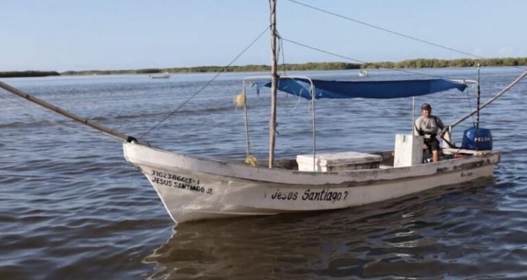 Yucatán ampliará la cuota de pulpo a 32 mil toneladas