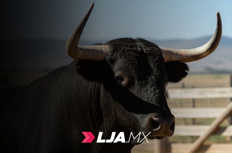 65 toros robados del rancho Granja Jiménez prenden alarma en Aguascalientes