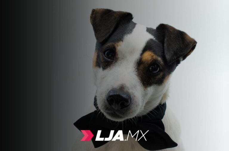 Servicios Veterinarios Gratuitos en Aguascalientes