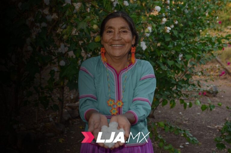 Tres millones de mexicanas ya reciben la Pensión Mujeres Bienestar: Ariadna Montiel