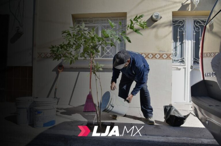 Ayuntamiento agradece a los que se sumaron al programa “El Árbol de Mi Casa” en Aguascalientes