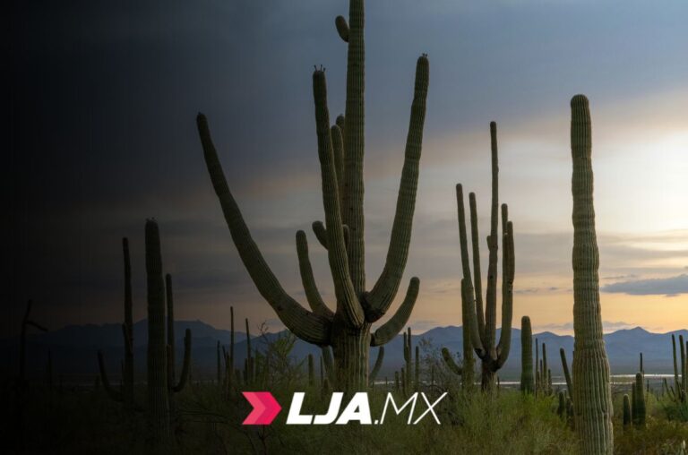 Retiran de las calles de Sonora más de 2 millones de dosis de droga, armas y cartuchos