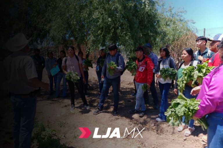 Fortalece Universidad del Pueblo Yaqui modelo productivo de soberanía alimentaria