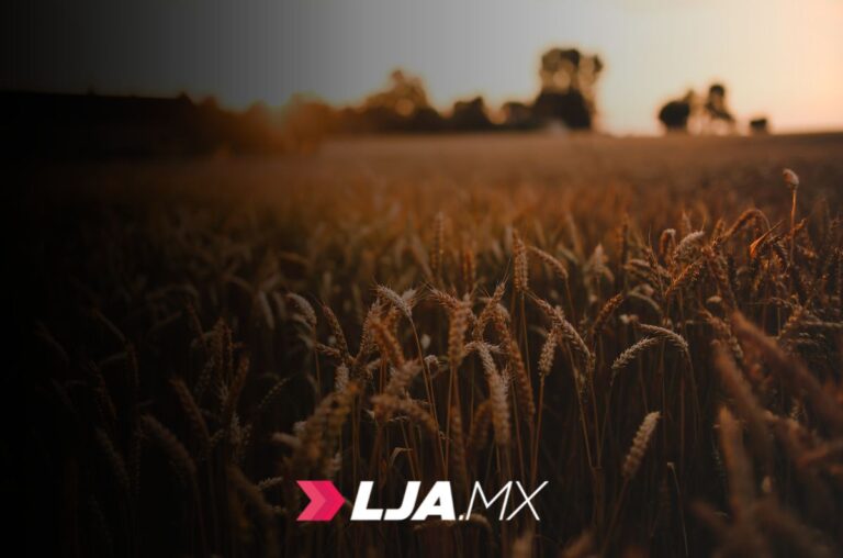 El campo impulsa la economía y el desarrollo rural en Aguascalientes