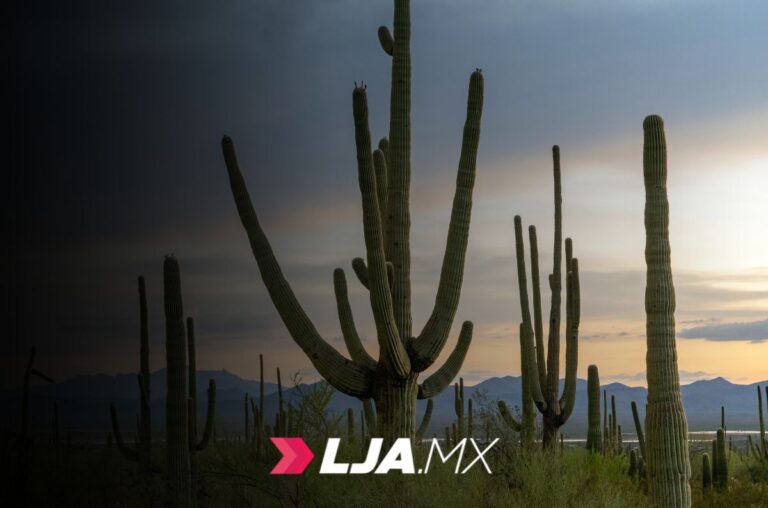 Detienen a cuatro personas por posesión de narcótico y violencia familiar