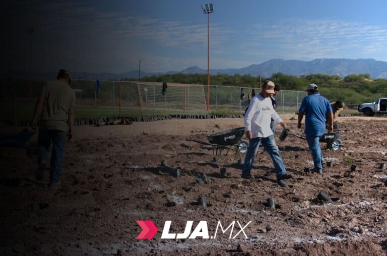 Crea Universidad de la Sierra el primer bosque con técnica Miyawaki