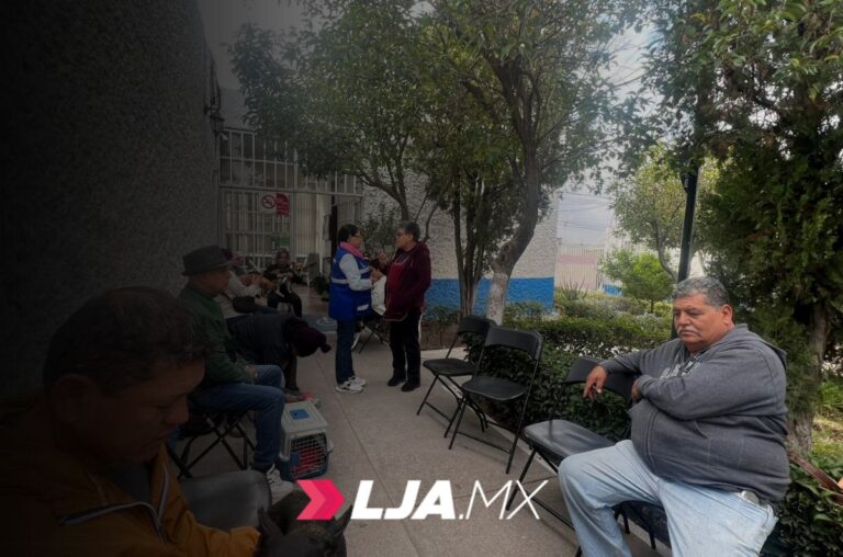 ISSEA realizará jornadas de esterilizaciones caninas y felinas en la Constitución y La Purísima