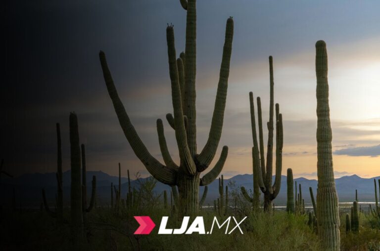 Aseguran más de 230 envoltorios de narcótico en Nogales