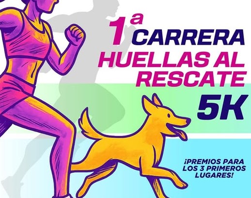 Fundación Huellas al Rescate impulsa feria y carrera con causa en apoyo al bienestar animal