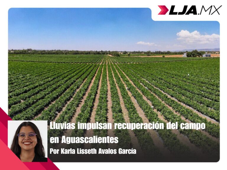 Lluvias impulsan recuperación del campo en Aguascalientes