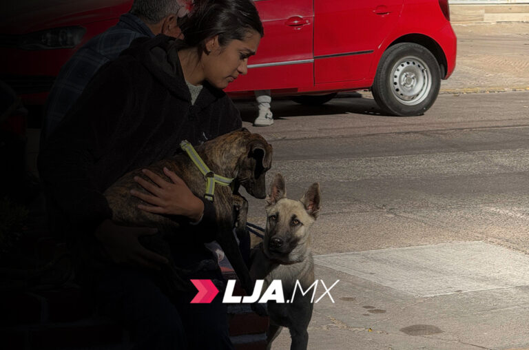 Nuevas jornadas de esterilización canina y felina en las Delegaciones Morelos y Pocitos en Aguascalientes