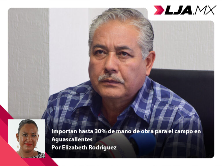 Importan hasta 30% de mano de obra para el campo en Aguascalientes