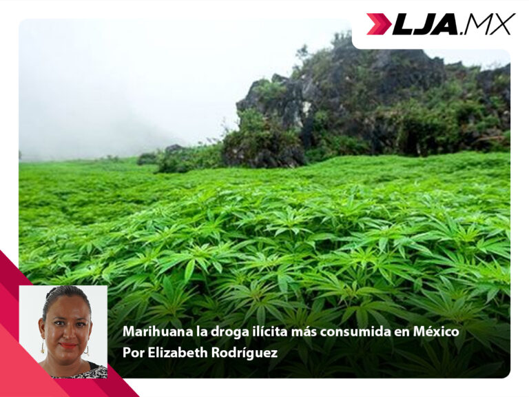 Marihuana la droga ilícita más consumida en México