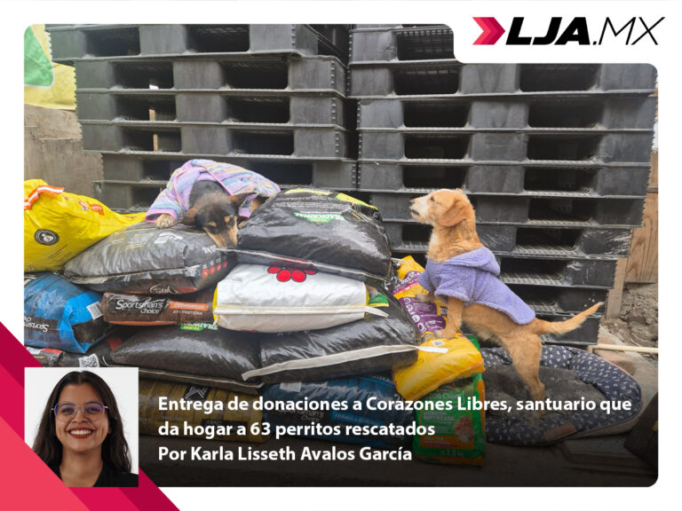 Entrega de donaciones a Corazones Libres, santuario que da hogar a 63 perritos rescatados en Aguascalientes