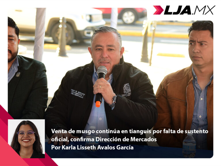 Venta de musgo continúa en tianguis por falta de sustento oficial, confirma Dirección de Mercados de Aguascalientes