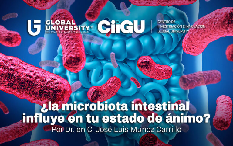 La ciencia impulsa tratamientos personalizados en salud mental a través del estudio de la microbiota intestinal