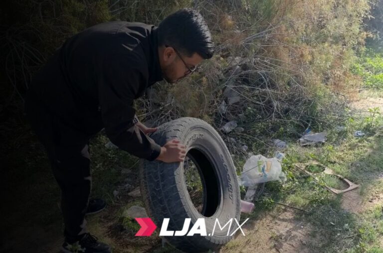 Mantener patios limpios reduce el riesgo de dengue y rickettsia