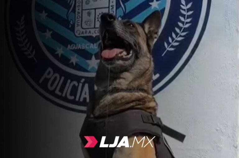 Agentes K9 Protegiendo Aguascalientes