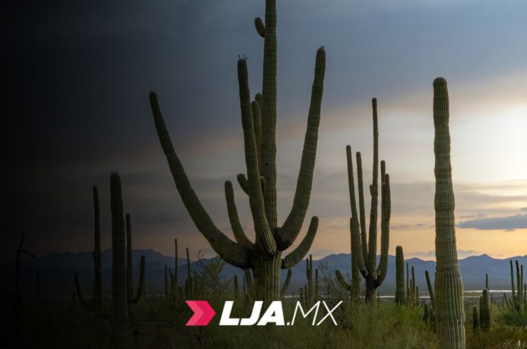 Disfruta un fin de semana de actividades culturales, recreativas y ambientales en La Sauceda en Sonora