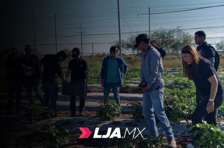 Impulsa UTEtchojoa perfiles profesionales altamente competitivos en el sector agrícola