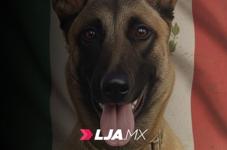 Aguascalientes fortalece su seguridad con la incorporación de la agente K9 Puck, especialista en explosivos