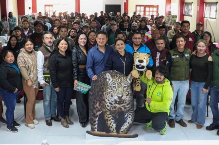 Conservación del jaguar fortalece a Hidalgo