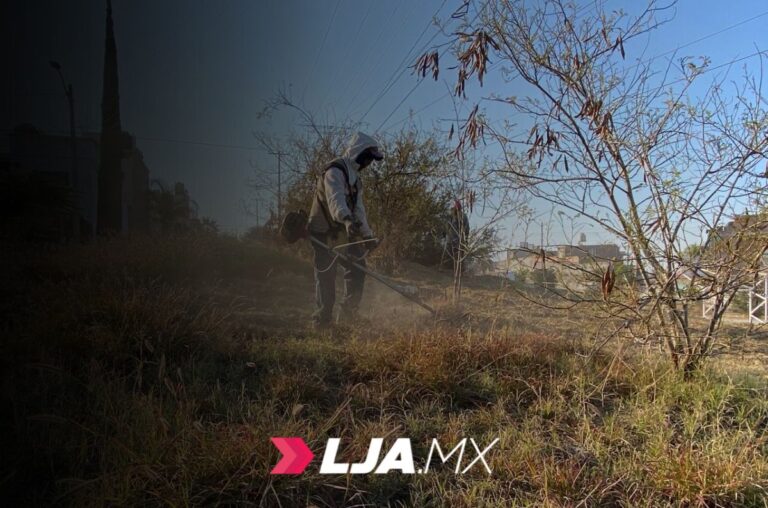 Municipio realiza mantenimiento en el Parque Lineal de Real de Haciendas