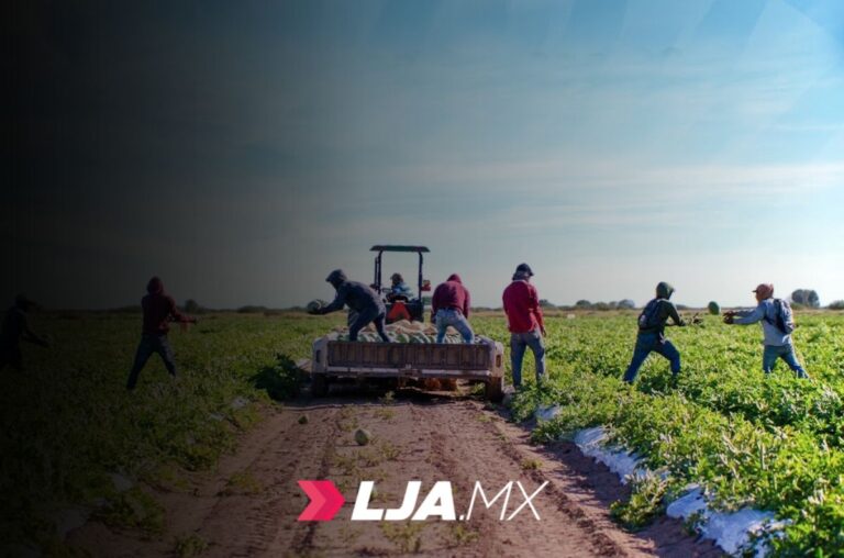 Sonora logra avances en agricultura, ganadería y pesca