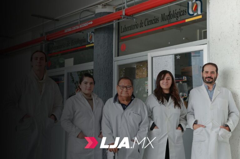 ¿Es posible mejorar la función del riñón? Desde la UAA buscan nuevas respuestas