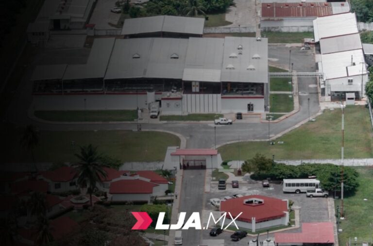 Planta productora de moscas estériles para combatir el gusano barrenador presenta avance del 50 %