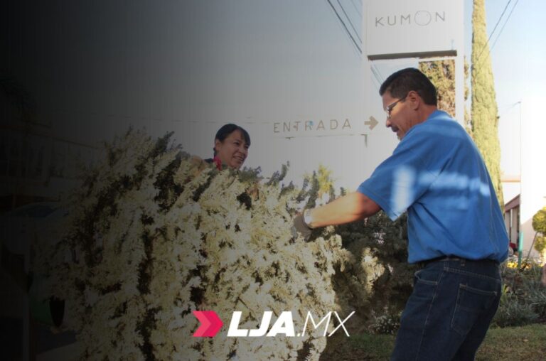 Ayuntamiento habilita centro de acopio para árboles navideños naturales en Aguascalientes