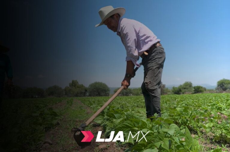 AGRICULTURA y Verde Valle acuerdan compra de frijol a precio justo