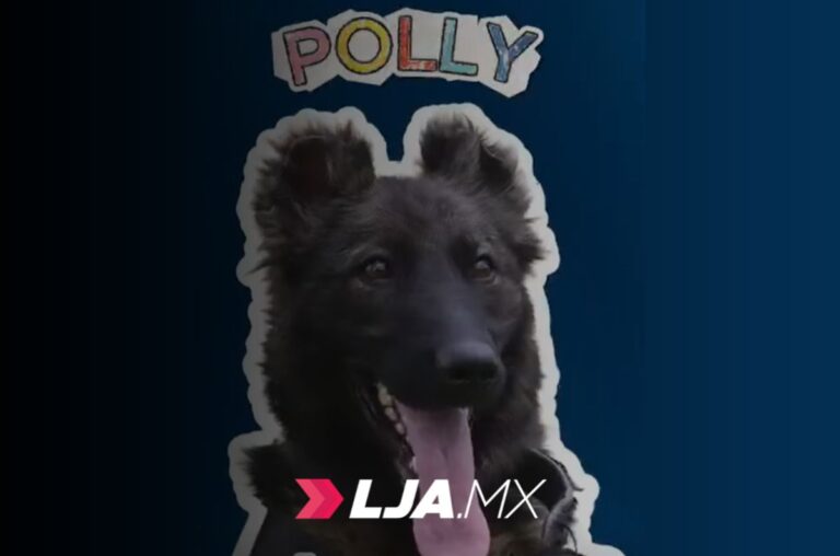 Agentes K9 refuerzan la seguridad en Aguascalientes