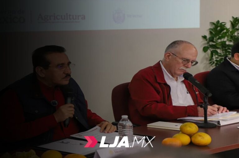 SADER y Sedarpa anuncian Plan para recuperar la citricultura en la zona norte