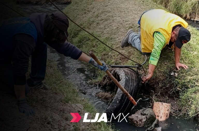 Anterior RETIRAN 40 TONELADAS DE BASURA EN JORNADA DE LIMPIEZA DEL RÍO SAN PEDRO