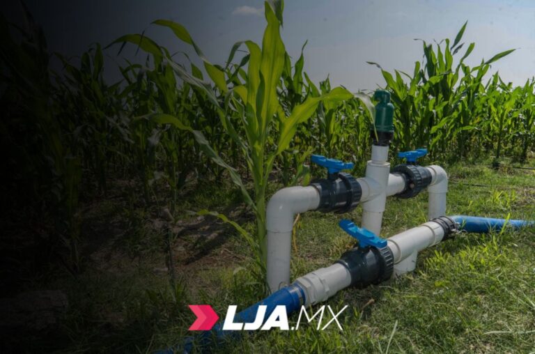 Se amplía el periodo de inscripción y reinscripción al PEUA hasta el 28 de abril