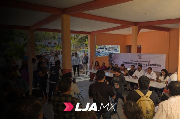 INE participa en audiencia pública de la Comisión de Pueblos Indígenas y Afromexicanos del Senado