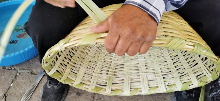 La Secretaría de Cultura del Gobierno de México y la Secretaría de Cultura de Guanajuato del Gobierno de la Gente lanzan la convocatoria PACMyC Guanajuato 2026