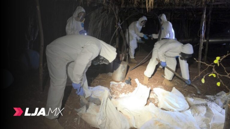 La Marina desmantela ocho laboratorios clandestinos de droga en Sinaloa