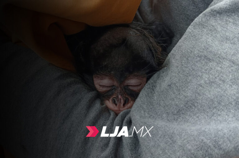 Hay un nuevo inquilino en el Refugio de Fauna Silvestre del Parque Rodolfo Landeros en Aguascalientes